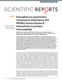 Disruptions in Asymmetric Centrosome Inheritance and WDR62-Aurora