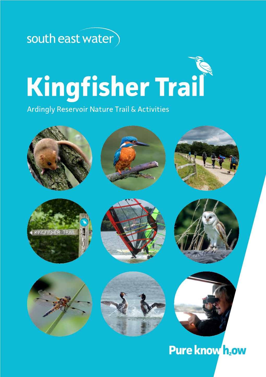 Kingfisher Trail Ardingly Reservoir Nature Trail & Activities Welcome to Ardingly Reservoir Local Nature Reserve and Kingfisher Trail