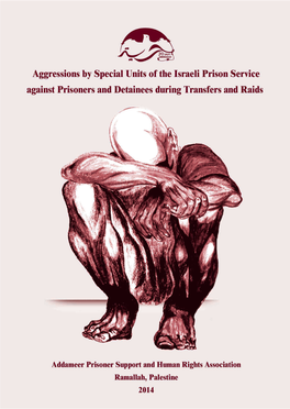 Aggressions by Special Units of the Israeli Prison Service Against Prisoners and Detainees During Transfers and Raids