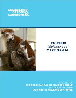 EULEMUR (Eulemur Spp.) CARE MANUAL