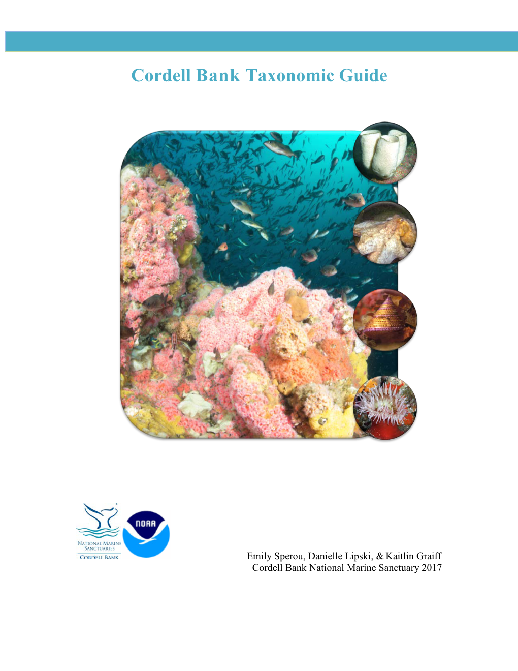 Cordell Bank Taxonomic Guide