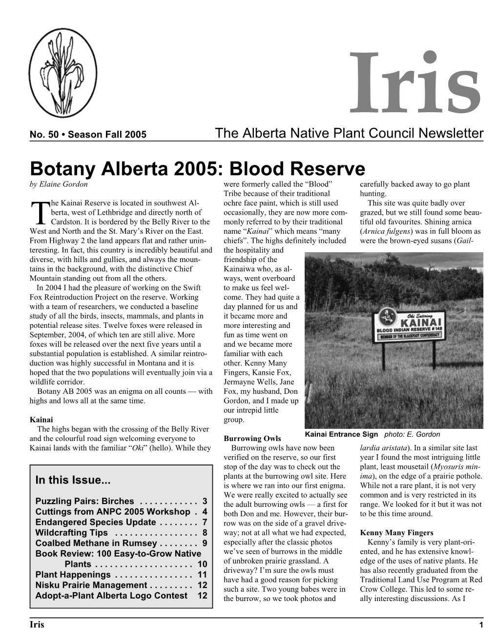 Botany Alberta 2005: Blood Reserve by Elaine Gordon Were Formerly Called the “Blood” Carefully Backed Away to Go Plant Tribe Because of Their Traditional Hunting