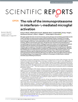 The Role of the Immunoproteasome in Interferon-Γ-Mediated Microglial Activation Received: 4 May 2017 Kasey E