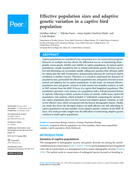 Effective Population Sizes and Adaptive Genetic Variation in a Captive Bird Population