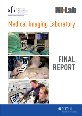 Download the MI Lab Final Report (Pdf)
