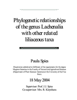 Phylogenetic Relationships of the Genus Lachenalia with Other Related