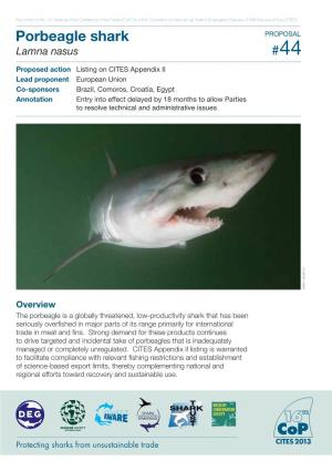 Porbeagle Shark Fact Sheetforthe16 Overview Regional Efforts Toward Recovery Andsustainableuse