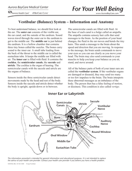 Vestibular (Balance) System – Information and Anatomy