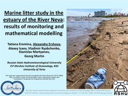 Marine Litter Study in the Estuary of the River Neva: Results of Monitoring and Mathematical Modelling