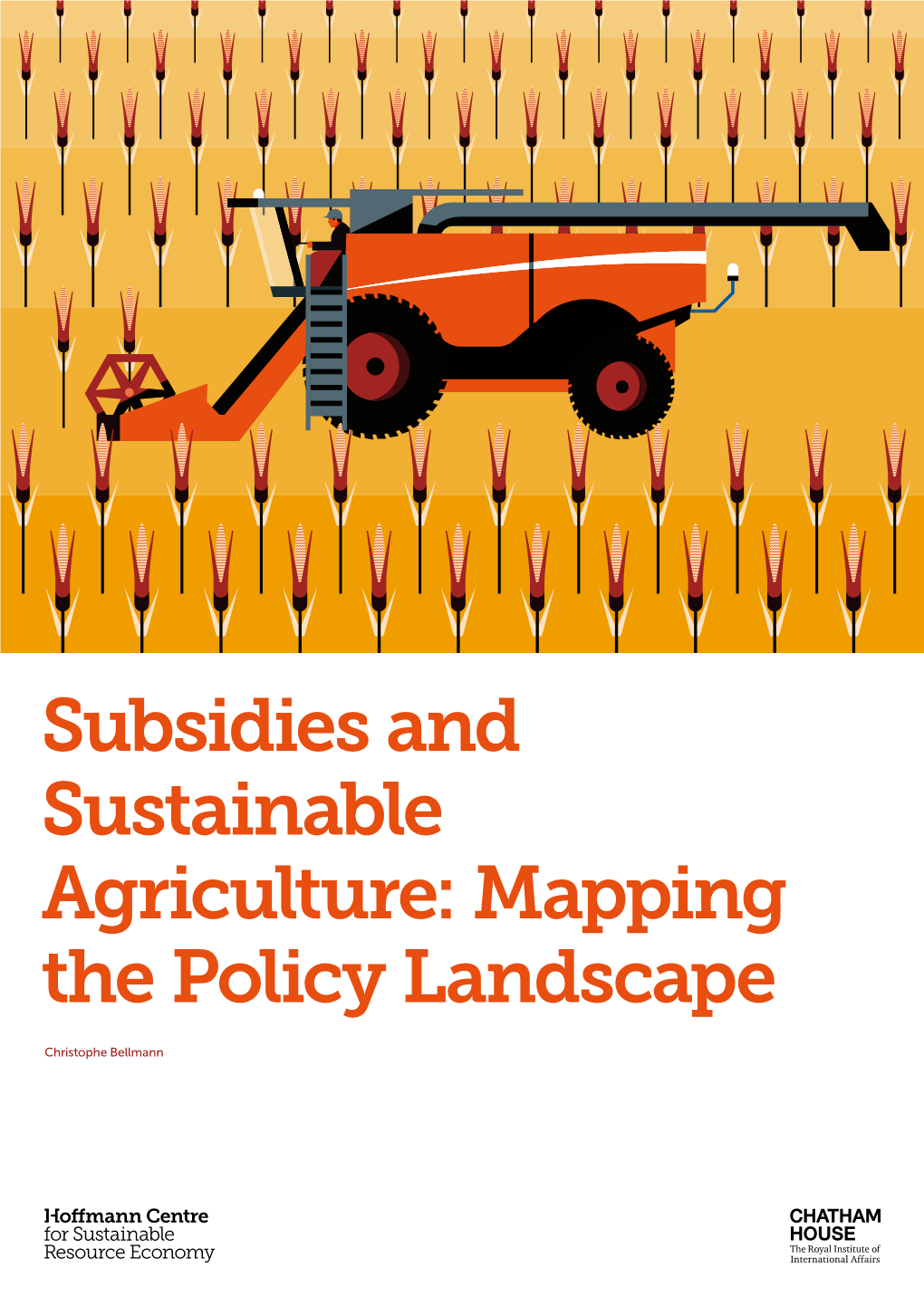 Subsidies and Sustainable Agriculture: Mapping the Policy Landscape