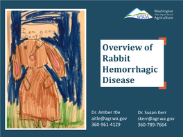 Overview of Rabbit Hemorrhagic Disease