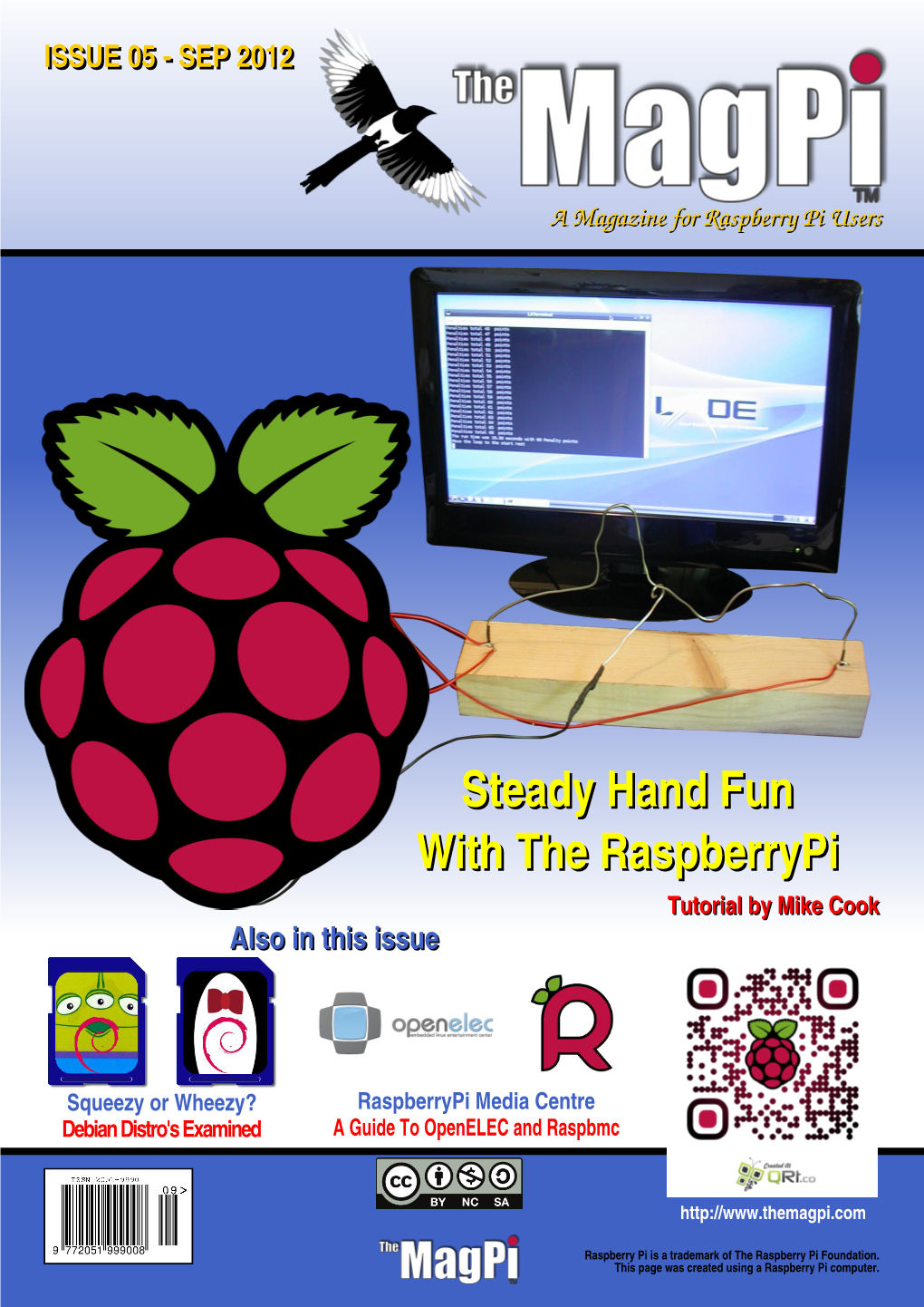 Steady Hand Fun with the Raspberrypi