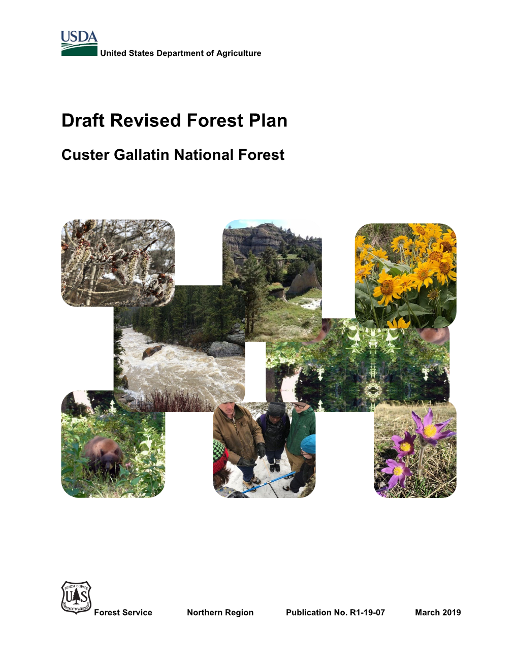 Draft Revised Forest Plan for the Custer Gallatin National Forest