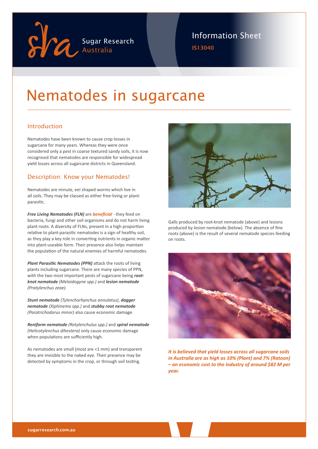 Nematodes in Sugarcane