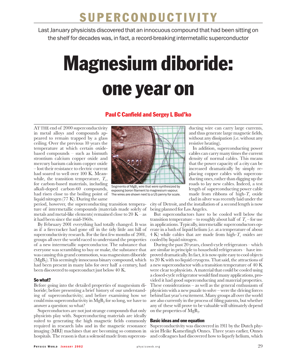 Magnesium Diboride: One Year On
