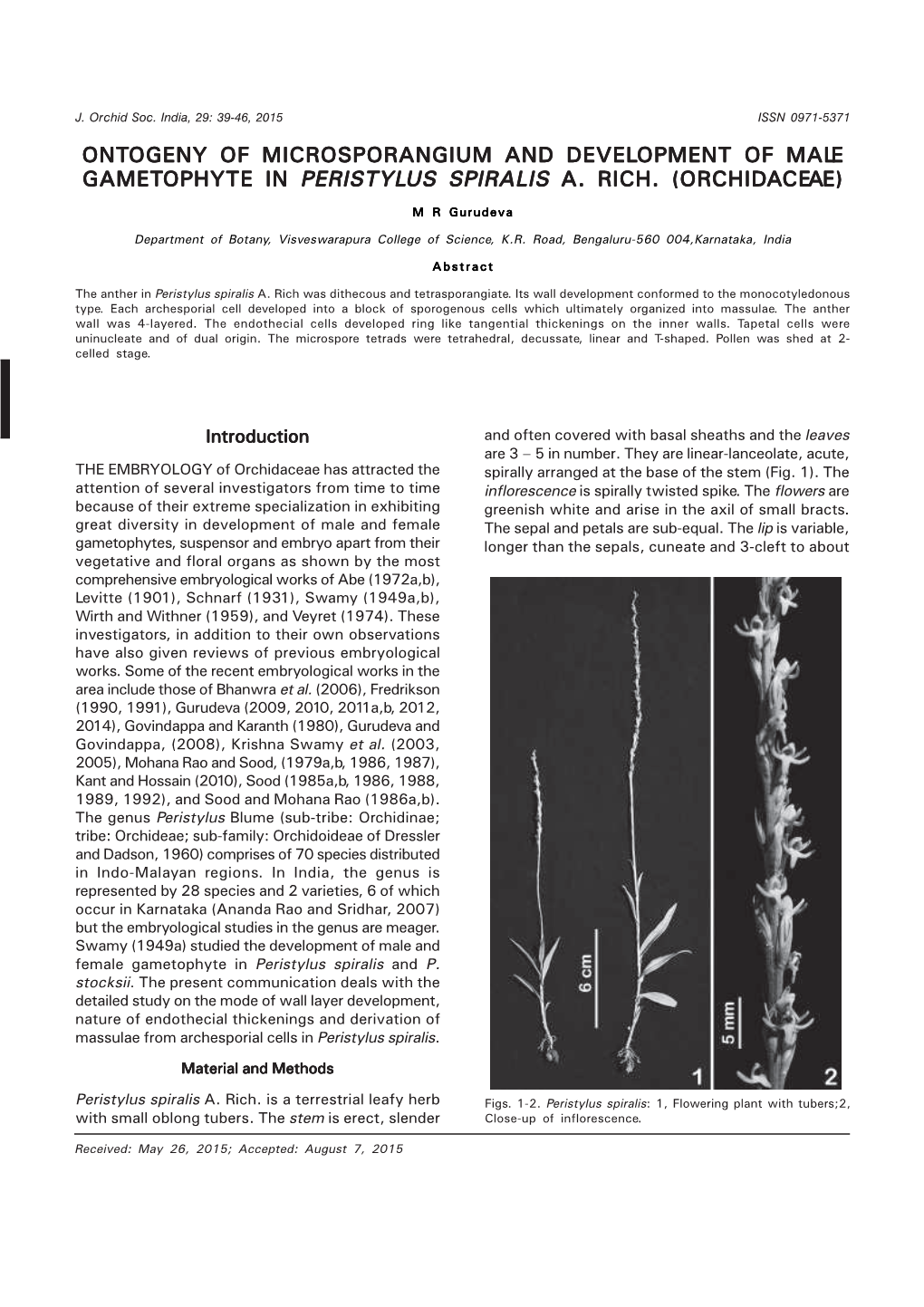 Ontogeny of Microsporangium and Development of Maleee Gametophyte in Peristylus Spiralis A