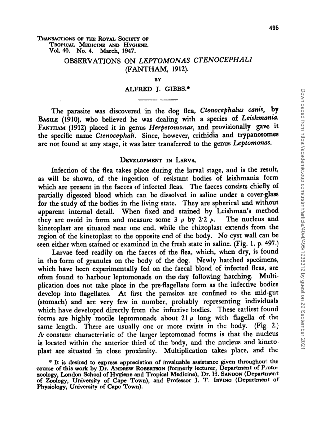 Observations on Leptomonas Ctenocephali (Fantham, 1912)