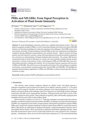 Prrs and NB-Lrrs: from Signal Perception to Activation of Plant Innate Immunity