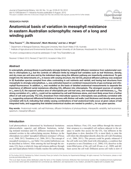 Anatomical Basis of Variation in Mesophyll Resistance in Eastern