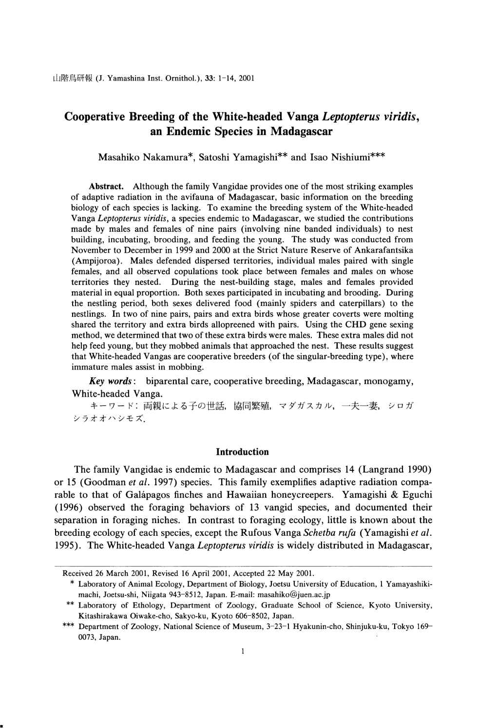 Cooperative Breeding of the White-Headed Vanga Leptopterus Viridis, an Endemic Species in Madagascar