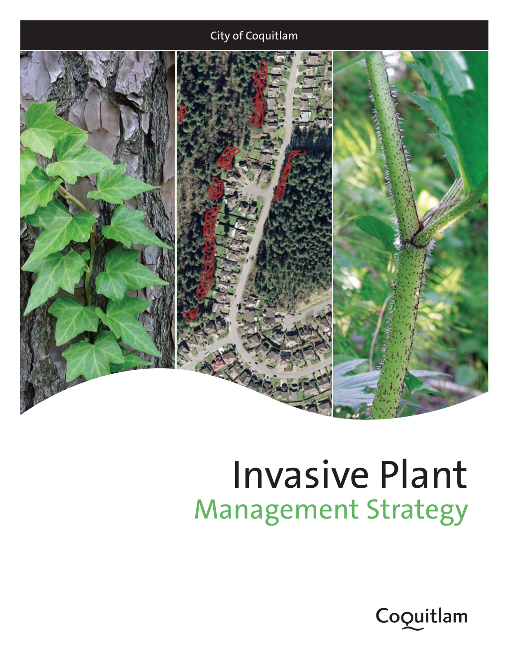 Invasive Plant Management Strategy