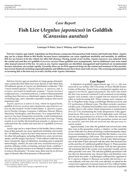 Fish Lice (&lt;I&gt;Argulus Japonicus&lt;/I&gt;) in Goldfish (&lt;I&gt;Carassius Auratus&lt;/I&gt;)