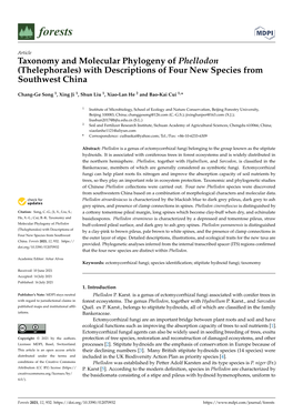 Taxonomy and Molecular Phylogeny of Phellodon (Thelephorales) with Descriptions of Four New Species from Southwest China