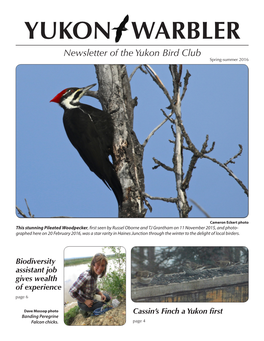 YUKON WARBLER Newsletter of the Yukon Bird Club Spring-Summer 2016