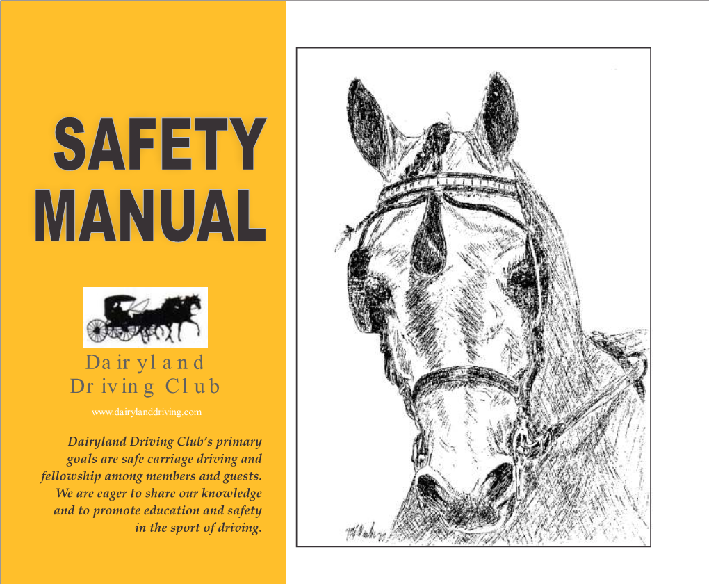 DDC Safety Manual Reprint 2017