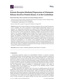 Kainate Receptor-Mediated Depression of Glutamate Release