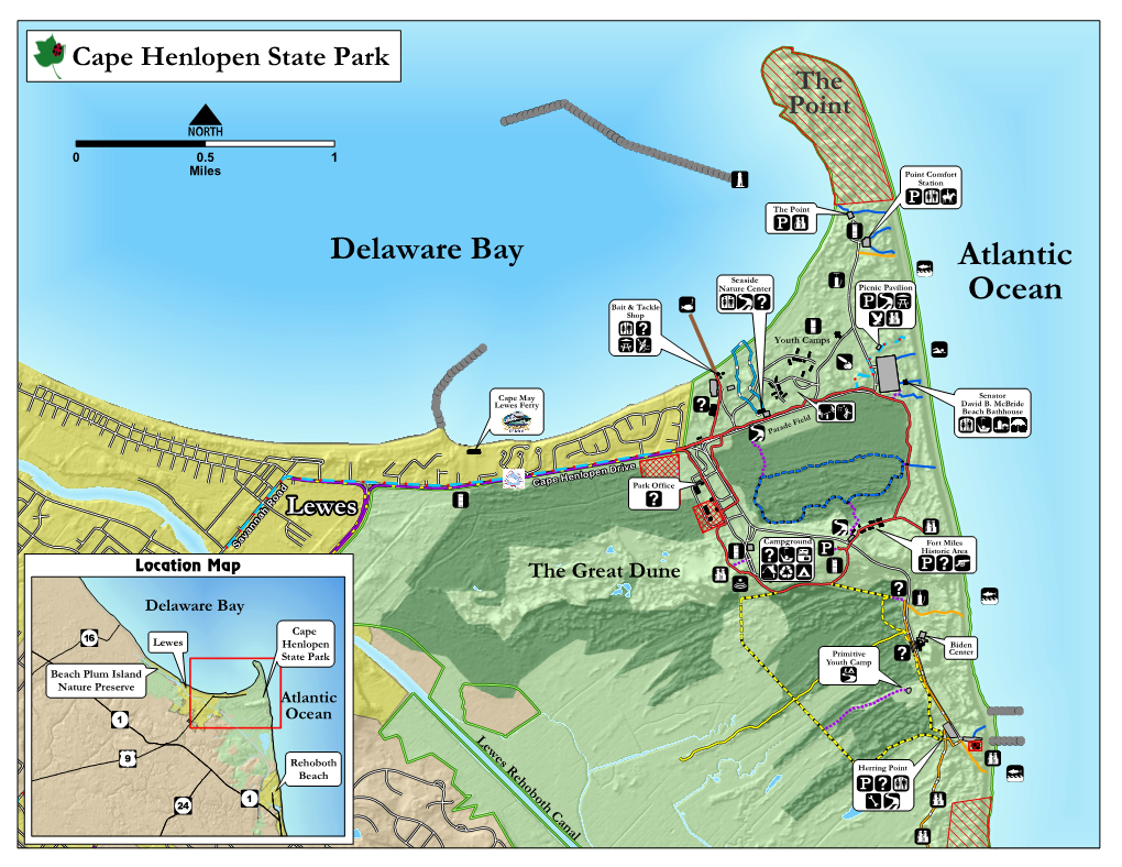 Cape Henlopen State Park the Point