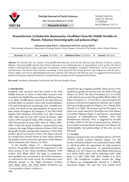 Bramatherium (Artiodactyla, Ruminantia, Giraffidae) from the Middle Siwaliks of Hasnot, Pakistan: Biostratigraphy and Palaeoecology