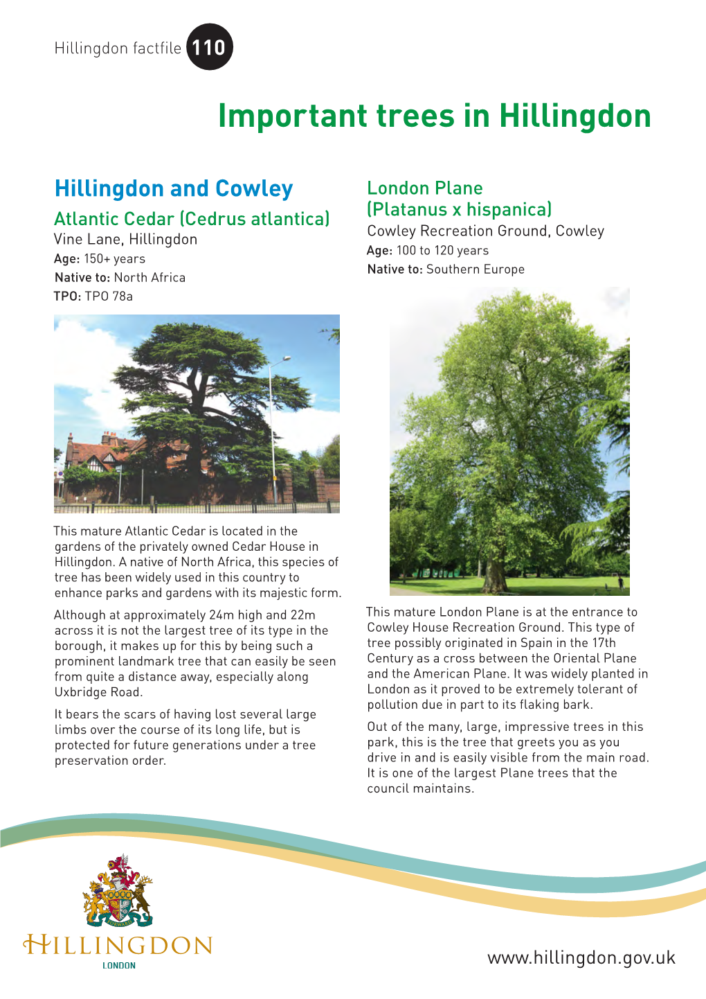 Important Trees in Hillingdon