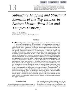 Subsurface Mapping and Structural Elements of the Top Jurassic in Eastern Mexico (Poza Rica and Tampico Districts), in C