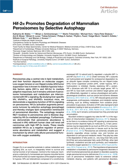 Hif-2A Promotes Degradation of Mammalian Peroxisomes by Selective Autophagy