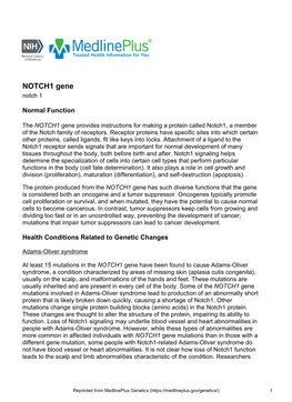 NOTCH1 Gene Notch 1