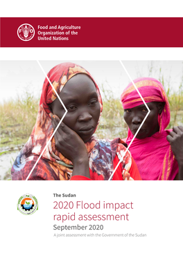 The Sudan Flood Impact Rapid Assessment