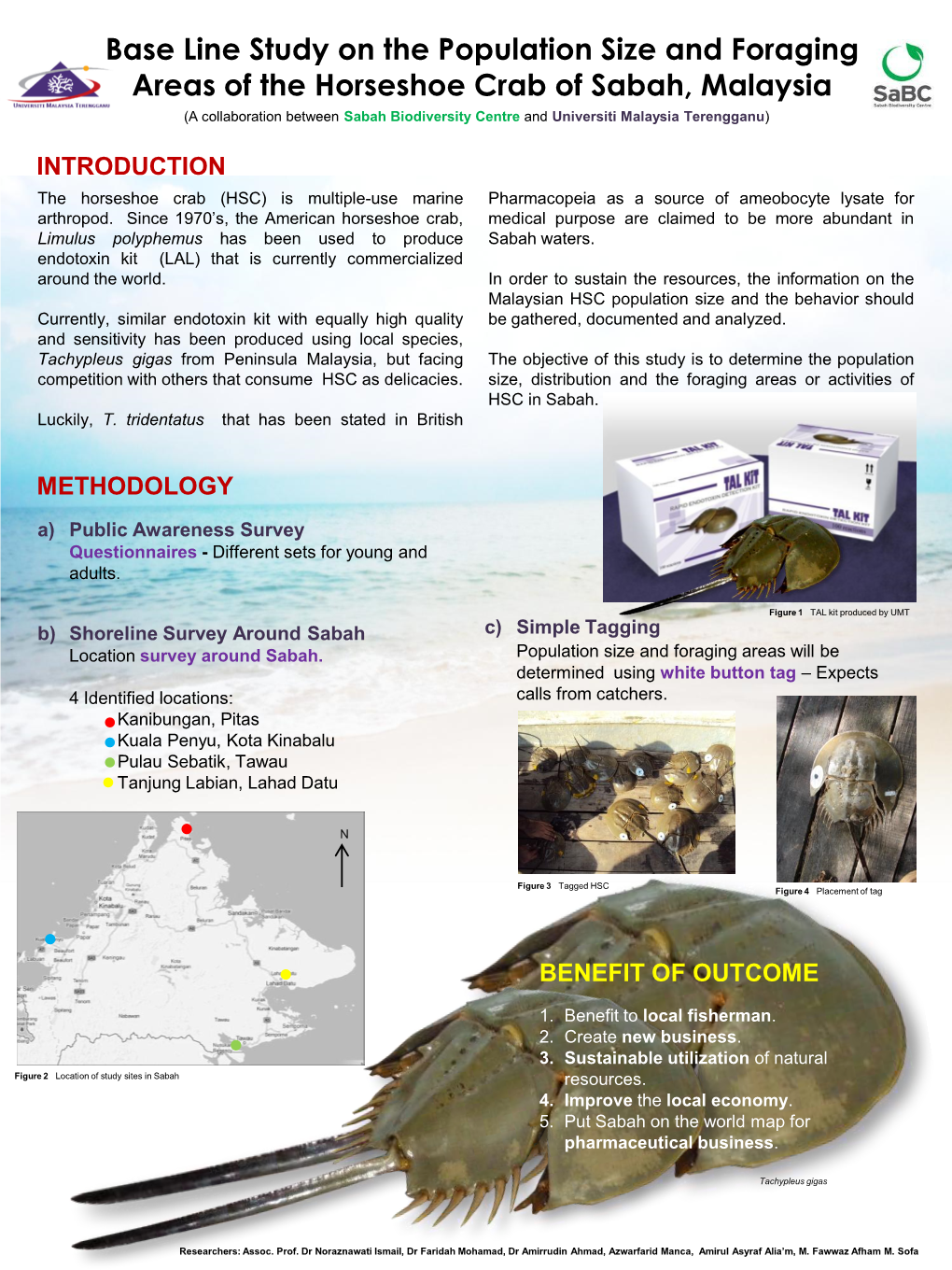 Base Line Study on the Population Size and Foraging Areas of The