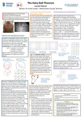 The Hairy Ball Theorem