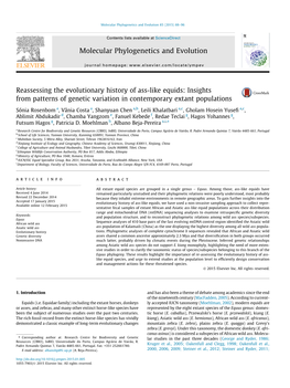 Reassessing the Evolutionary History of Ass-Like Equids: Insights from Patterns of Genetic Variation in Contemporary Extant Populations