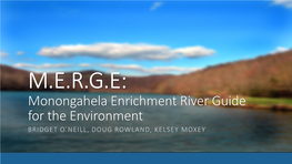 Monongahela River Quality
