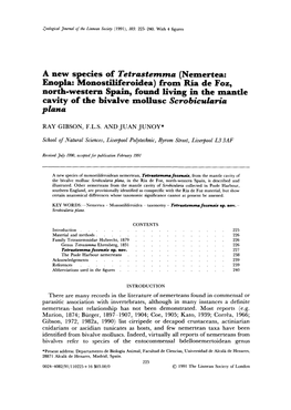 A New Species of Tetrastemma (Nemertea