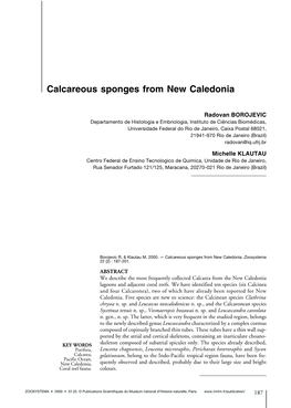 Calcareous Sponges from New Caledonia