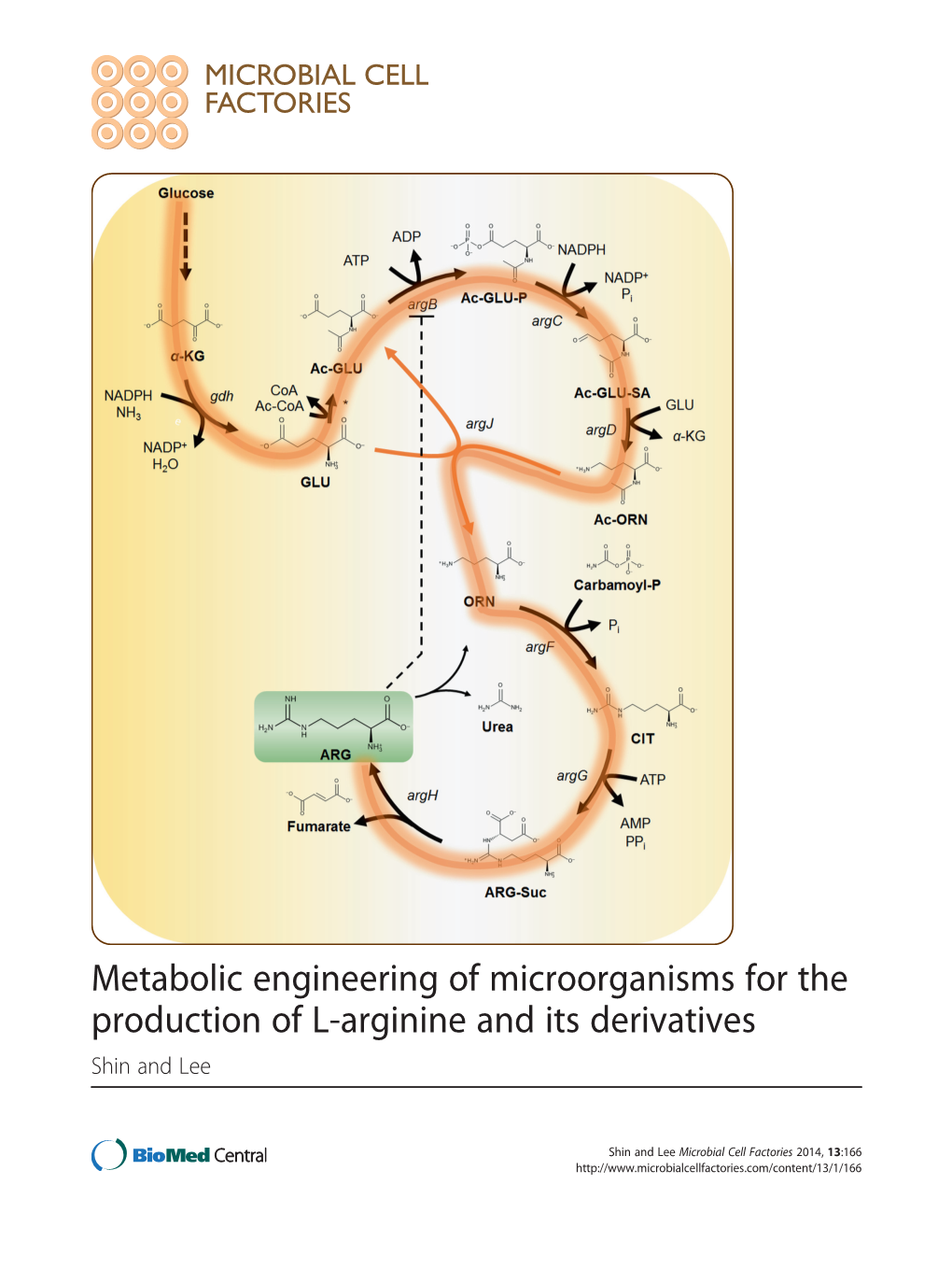 Metabolic Engineering of Microorganisms for the Production of L-Arginine and Its Derivatives Shin and Lee