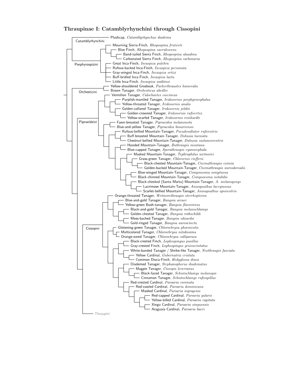 Thraupinae Species Tree