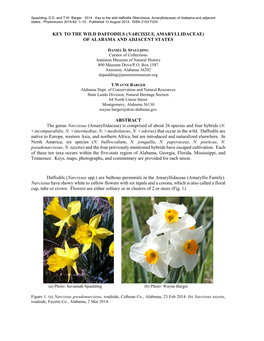 Key to the Daffodils (Narcissus, Amaryllidaceae) of Alabama and Adjacent States