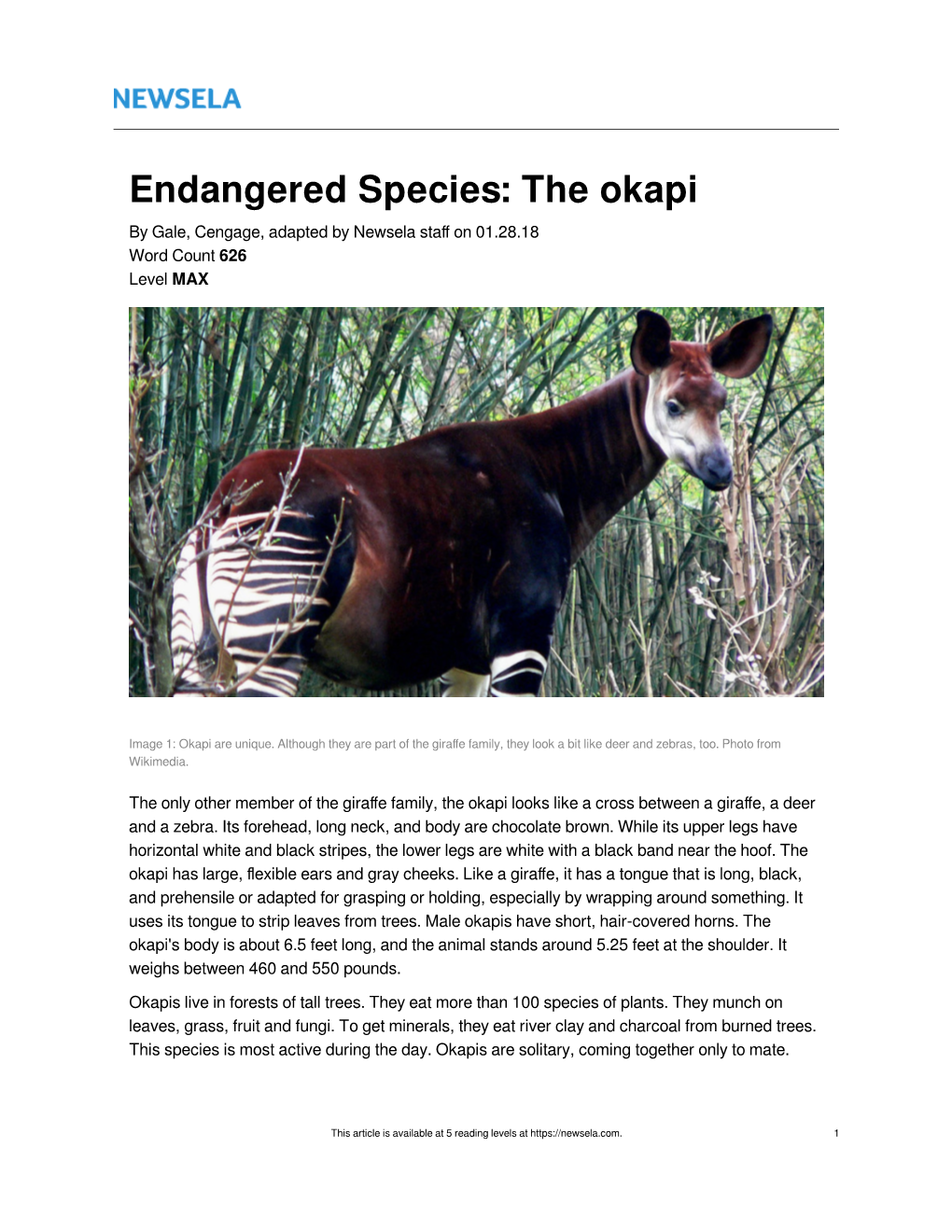 Endangered Species: the Okapi by Gale, Cengage, Adapted by Newsela Staﬀ on 01.28.18 Word Count 626 Level MAX