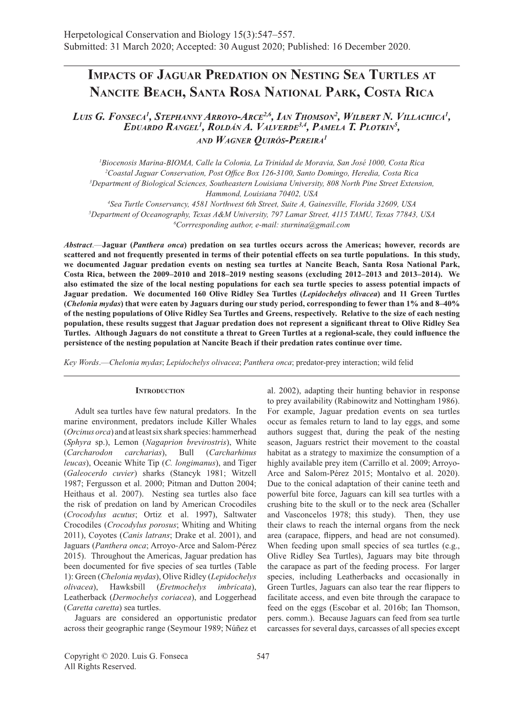 Impacts of Jaguar Predation on Nesting Sea Turtles at Nancite Beach, Santa Rosa National Park, Costa Rica