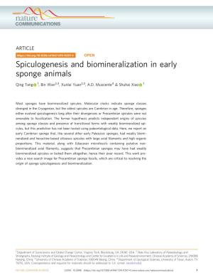 Spiculogenesis and Biomineralization in Early Sponge Animals