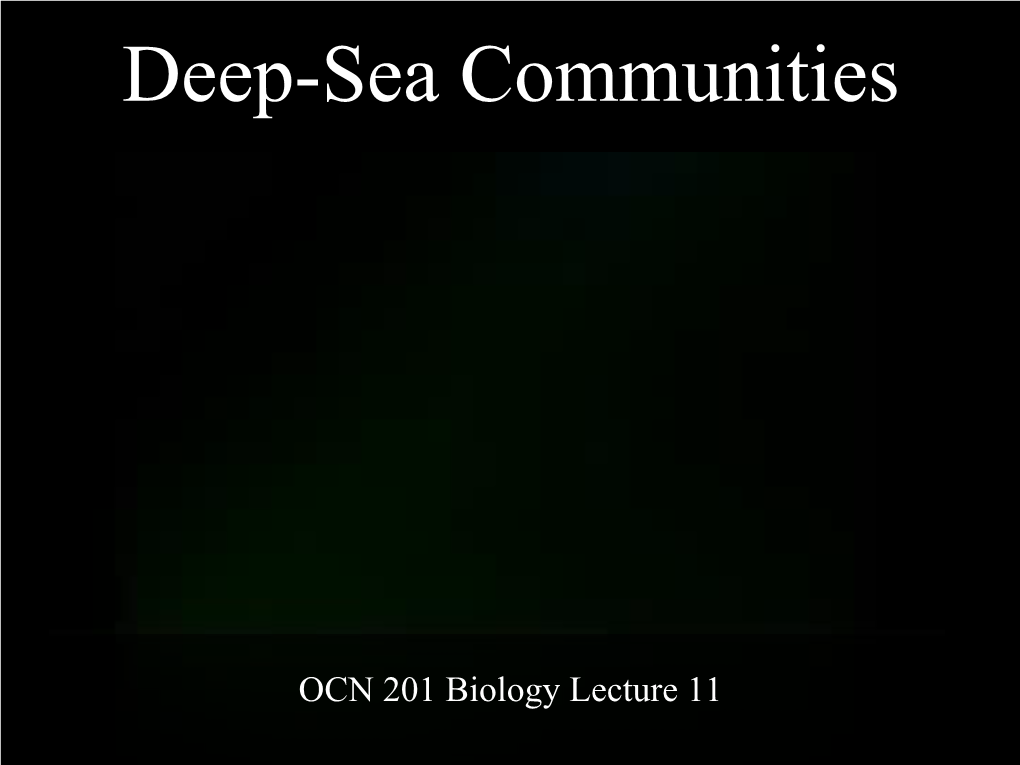 Deep-Sea Communities